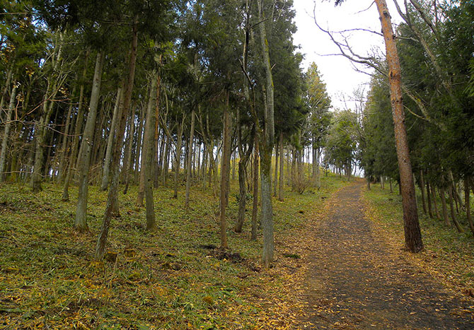 無量光院跡